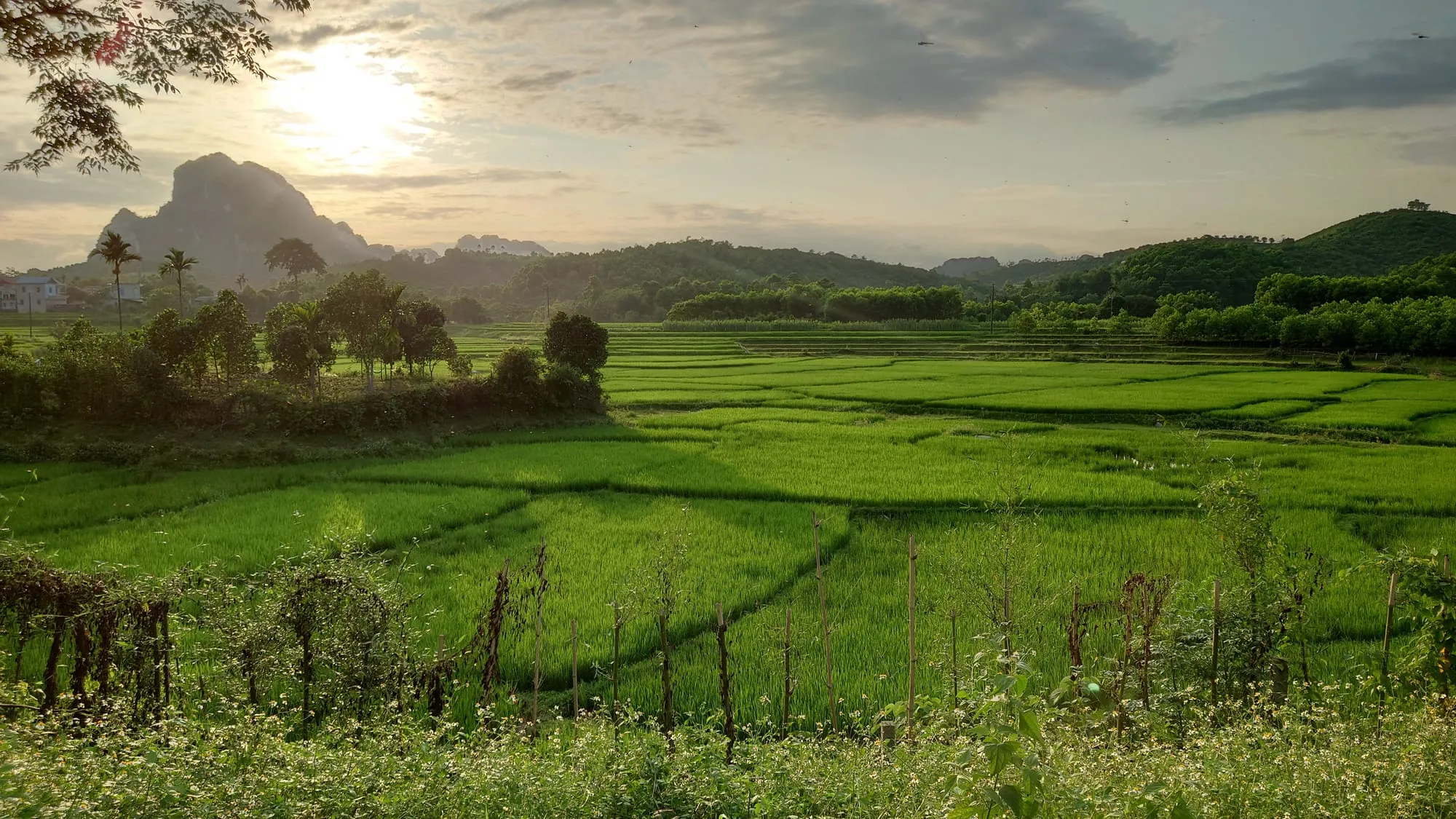 Dậy sớm