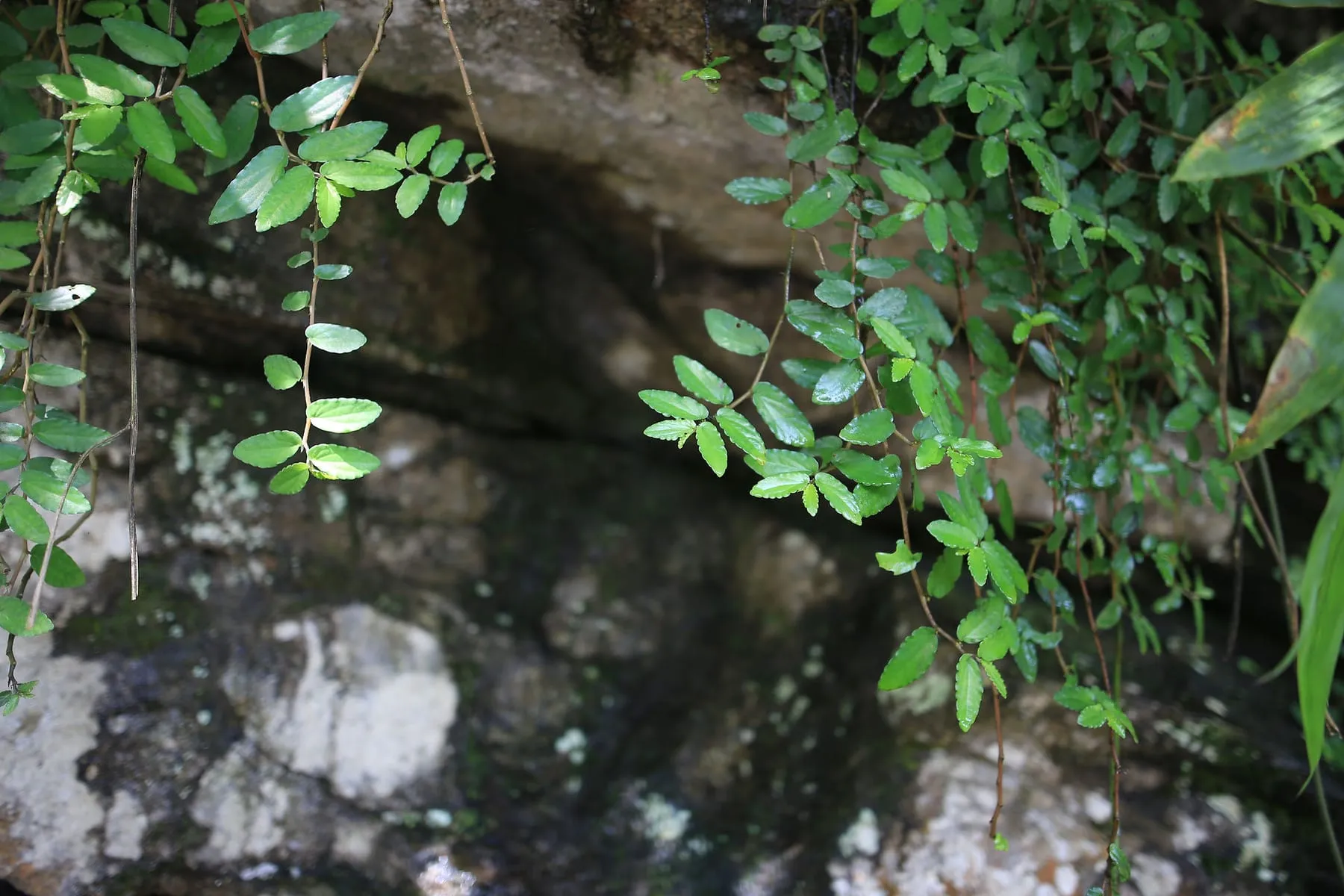 Những ngày cuối thu